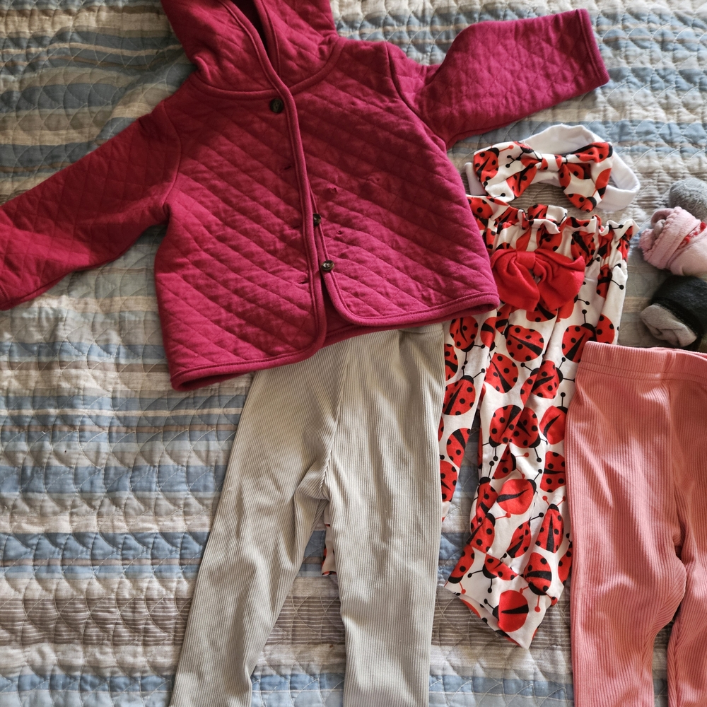 Pink Quilted Jacket and Ladybug Outfit Set